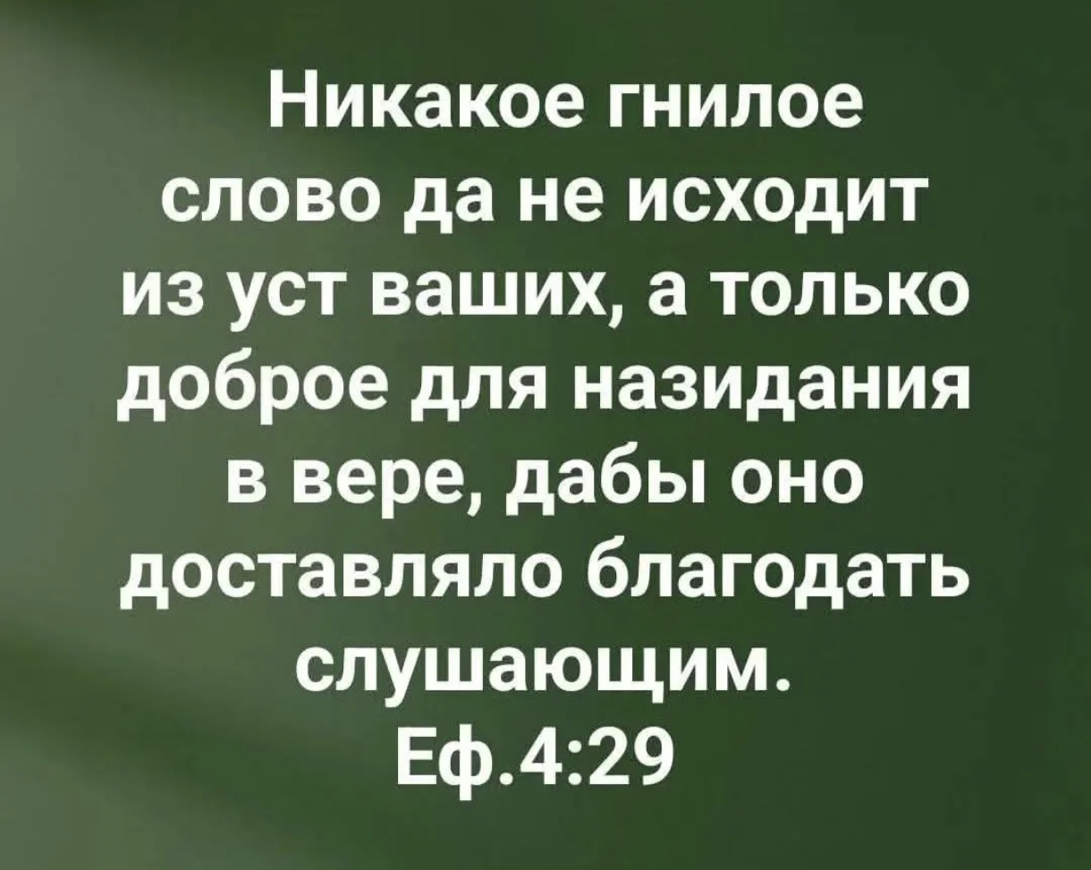 Наши слова