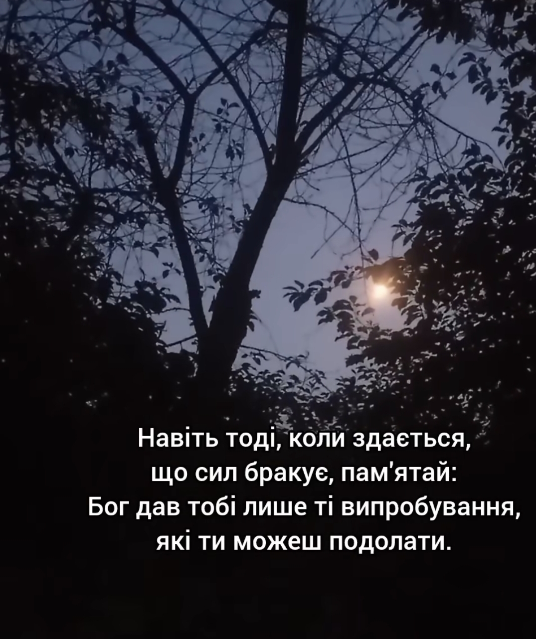 Не задавайте Господу вопросов